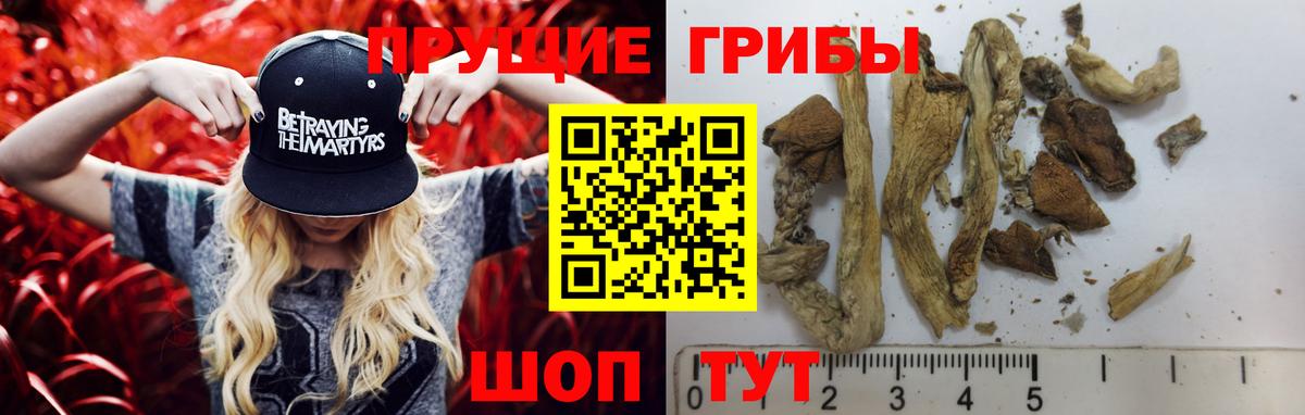 Псилоцибиновые грибы MAGIC MUSHROOMS  Псилоцибиновые грибы прущие грибы  Вход с VPN  Краснокаменск 